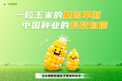 企业微信截图_20260204165105.png
